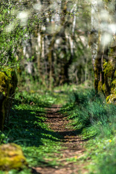 Sentier bucolique &agrave; Bellignat, Bugey, Ain