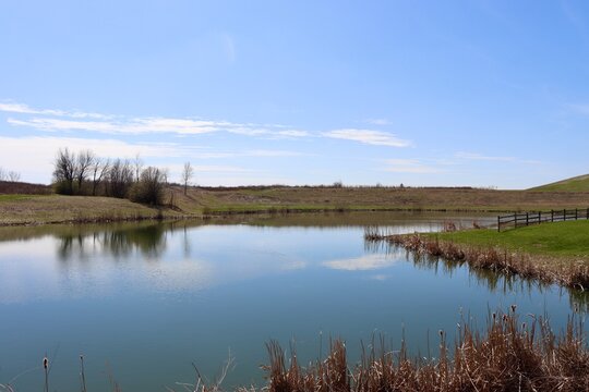 The calm pond in the country on a sunny day.