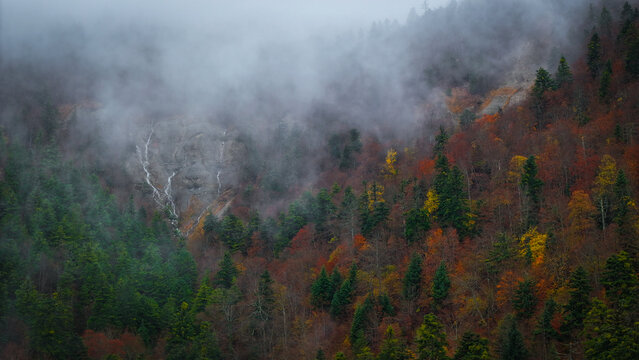 Aerial view of a misty mountain slope ablaze with autumnal hues, punctuated by a delicate waterfall cascading down the rock face, Gex, Auvergne-Rhone-Alpes, France.