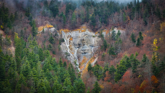 Aerial view of a cascade cutting through rugged rock face amidst a tapestry of evergreens and autumnal hues along Route du Creux du Cerf, Gex, Auvergne-Rhone-Alpes, France.