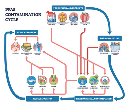 PFAS contamination cycle shows how products and waste pollute soil, rivers and groundwater, bioaccumulating to humans via drinking water and food, objects, factory, landfill, arrows. Outline diagram