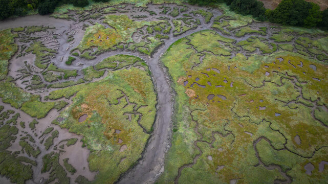 Aerial view of intricate waterways cutting through the landscape, a symphony of earth tones meeting vibrant greens, Henvic, Bretagne, France.