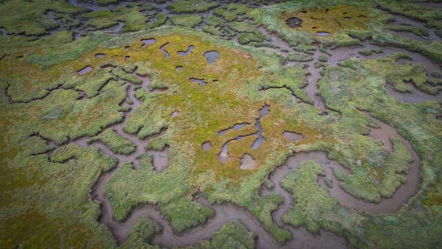 Aerial view of a vibrant tapestry of green and gold marshland, laced with meandering waterways, reflecting the sky, Henvic, Bretagne, France.