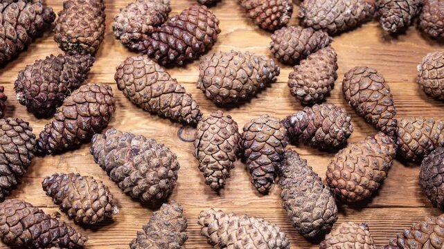Pine Cones Opening in Time Lapse on a Wooden Background. Fir Cones Moving. Top View