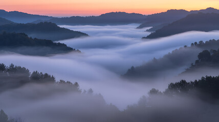 Obraz premium Sunrise over misty valley with rolling hills covered in dense fog