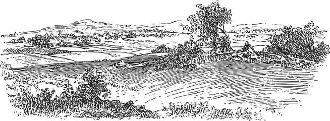 Obraz premium Hand drawn countryside landscape with rolling hills, trees, and detailed foliage sketch