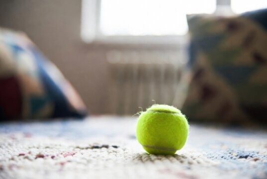 Single yellow tennis ball on patterned carpet near window. Natural light illuminates fuzzy sports equipment indoors.