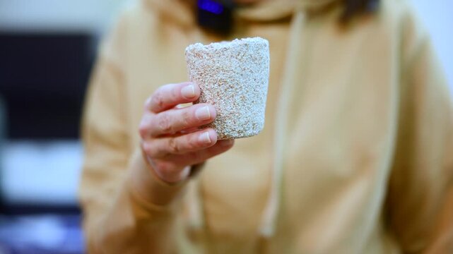Indoor Gardener Showcasing Seed Pot. Urban Gardening Enthusiast Presenting Biodegradable Seed Cup With Care . Media