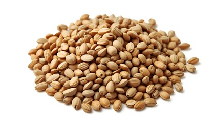 Fototapeta premium A pile of barley grains on a white background