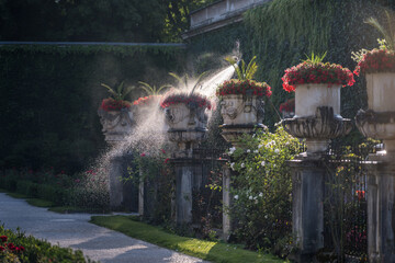 Blumen gießen im Barockgarten