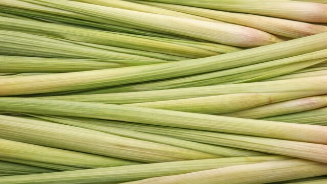 Vibrant lemongrass texture desktop wallpaper