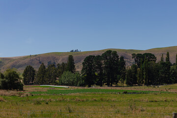 Fototapeta premium Verdant Green Field and Distant Hills Under a Clear Blue Sky Landscape