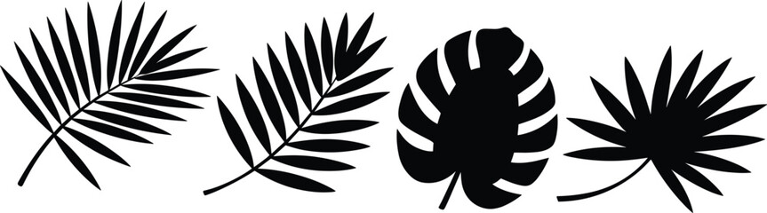 Tropical palm leaves silhouette set isolated on white background botanical vector shapes jungle foliage collection minimal black plant design elements modern exotic nature © MD MIJANUR