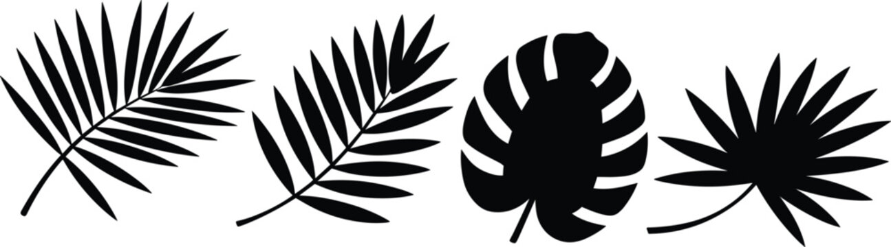 Tropical palm leaves silhouette set isolated on white background botanical vector shapes jungle foliage collection minimal black plant design elements modern exotic nature