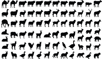 Naklejka premium Collection of diverse black animal silhouettes including camels, cows, goats, deer, birds, rabbits, dogs, and tortoise, vector illustration for wildlife, nature, and design projects