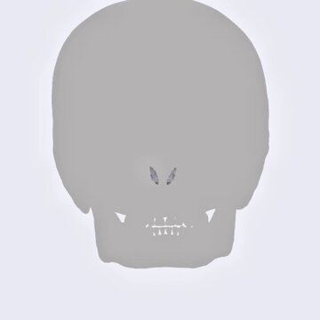 Illustration of the inferior nasal concha showing anatomy, position in nasal cavity, and structure.