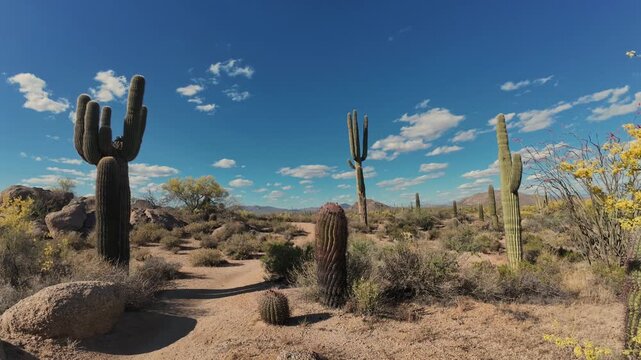 Time-Lapse Footage On A Desert Hiking Trail In A Scottsdale Arizona Preserve During Spring Season 