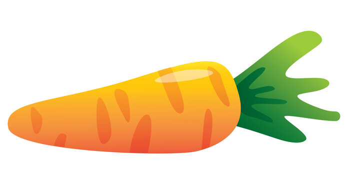 Carrot illustration in flat vector style. Fresh vegetable icon with bright colors.