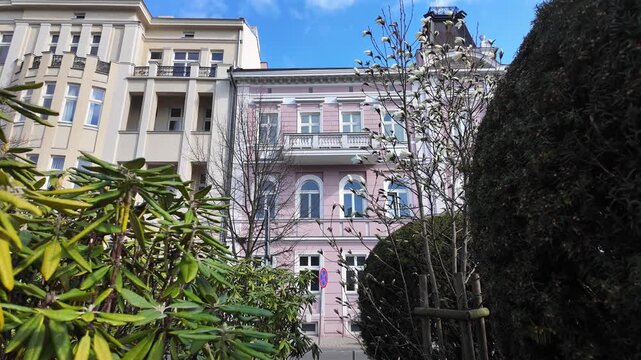 Historic pink tenement house in the city, blooming white magnolia in foreground, urban architecture in spring, facade details with balcony, rhododendron bushes, sunny day, european street, luxury vint