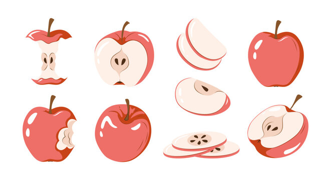 Set of red apples with whole, sliced, half and core pieces. Fruit vector illustration