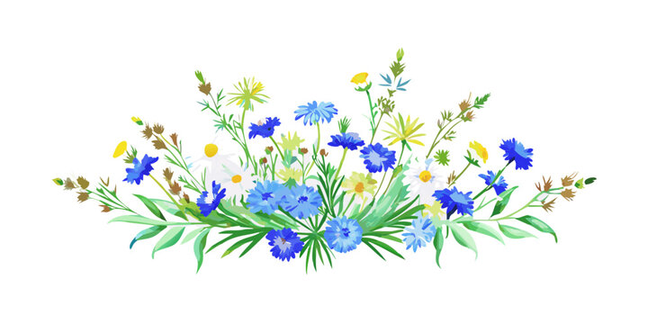 Bouquet of blue cornflowers and white daisies, vector