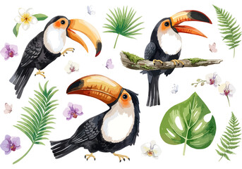 Watercolor tropical set of toucan birds with exotic palm leaves, orchids, and butterflies isolated on white background. © MD
