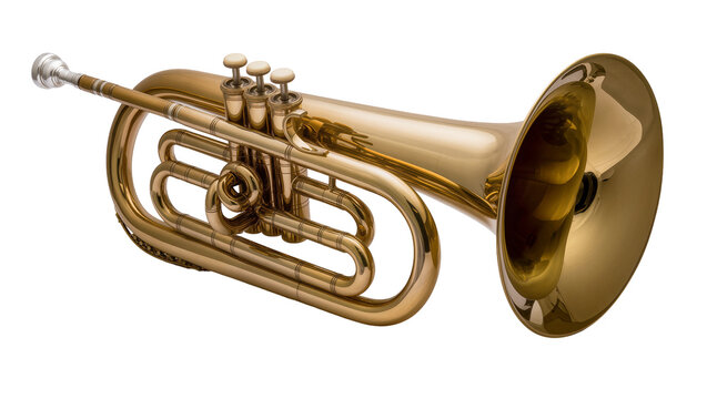 Shiny brass baritone horn featuring valves tubing, and a silver mouthpiece