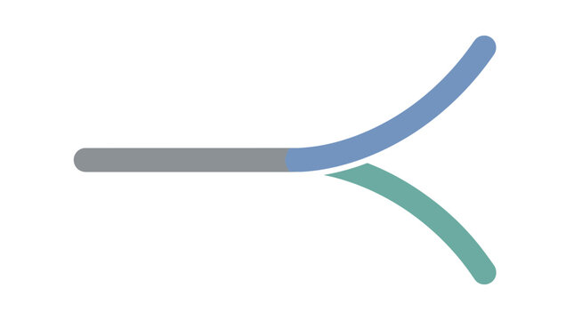 Abstract visual of a grey path splitting into blue and green curves, representing divergence and choice