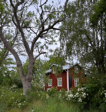 An isolated, small red and white country house sits quietly among trees in Aland Finland.