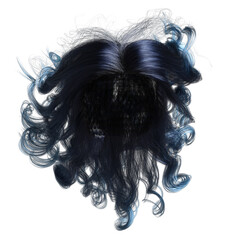 Fototapeta premium 3D rendered beautiful long curly hair, floating from the wind, isolated on a transparent background