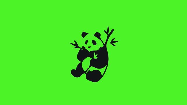 Black panda bear climbing green screen.