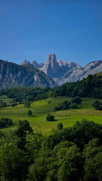 Naranjo de Bulnes