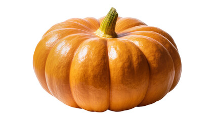 Fototapeta premium Large orange pumpkin with green stem, showcasing ribbed texture and autumnal harvest