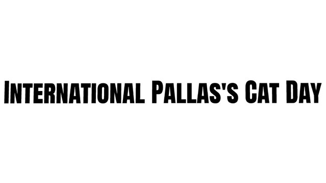 International Pallas's Cat Day bold typography for awareness