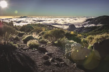 Dramatic Tenerife Landscape with High Mountains Rising Above Clouds and Rugged Volcanic Scenery in Teide National Park. © Regina
