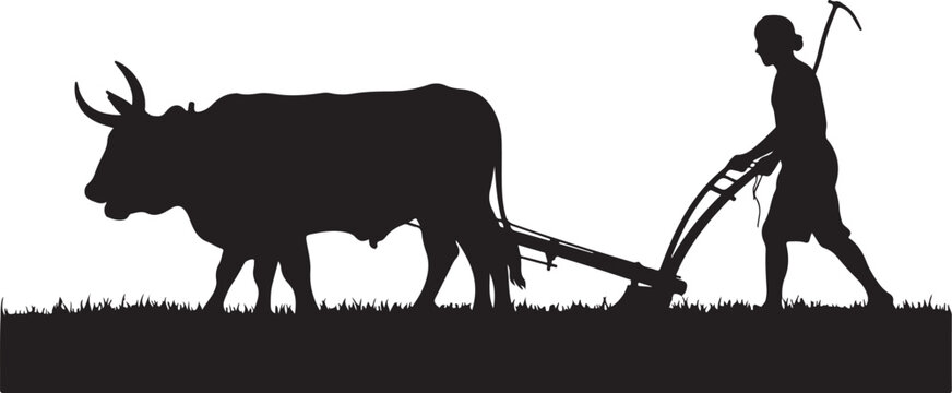 A man plowing a field with a cow