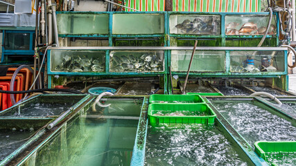 Live fish tanks inside the Aberdeen fish market in Hong Kong showing seafood storage facilities. Fresh fish kept in water tanks at a traditional wholesale seafood market.