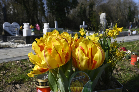 friedhof, grabdekoration