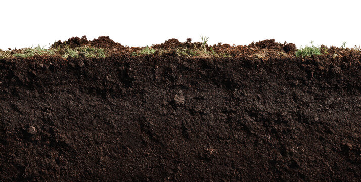 PNG Rich soil with grass layer