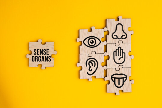 Wooden with five Sense organs icons namely sight, hearing, smell, teste and touch. basic 5 human senses