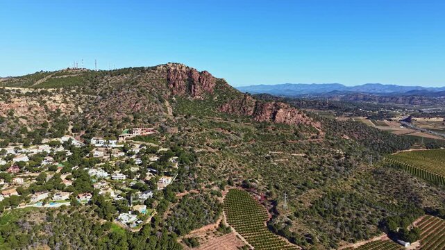 A view shows hills covered with green plants and rows of vineyards. There is a mountain in the background and a small town with buildings near the base of the hills.