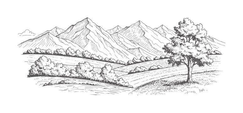 Hand drawn of rolling hills and mountains with a lone tree landscape nature