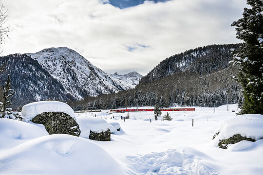 Pontresina, Berninapass, Val Bernina, Zugfahrt, Zugreise, Winter, Wintersport, Wanderweg, Langlauf, Langlaufloipe, Oberengadin, Graub&uuml;nden, Schneedecke, Winterlandschaft, Alpen, Schweiz