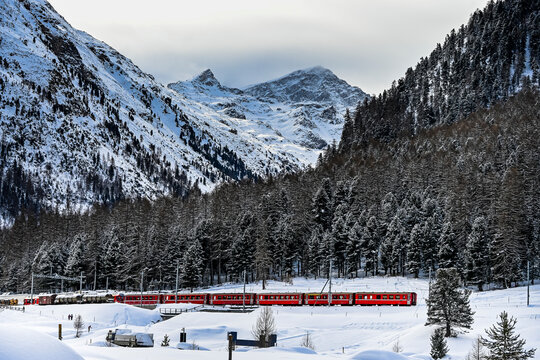 Pontresina, Berninapass, Val Bernina, Zugfahrt, Zugreise, Winter, Wintersport, Wanderweg, Langlauf, Langlaufloipe, Oberengadin, Graub&uuml;nden, Schneedecke, Winterlandschaft, Alpen, Schweiz