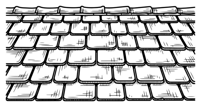 Detailed hand drawn vector pattern of roof shingles or wooden scales