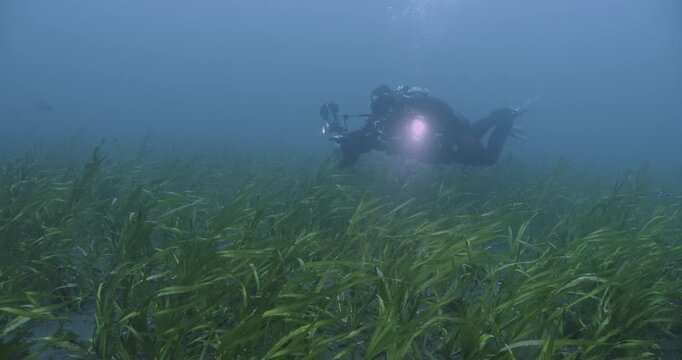 Scuba diver with camera swims over turtle grass bed.
