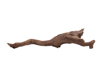 Obraz premium Driftwood aged wood isolated on white background. Piece of driftwood driftwood close up for aquarium.