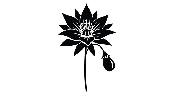 A striking black floral design showcases a detailed lotus blossom and bud presented as a silhouette high quality