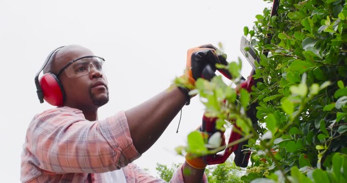 African American man lifting red trimmer, cutting hedge, shaping foliage in garden with earmuffs