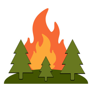 Forest fire, jungle fire, wildfire, burning forest, fire in jungle, trees on fire, flames, nature disaster, environmental damage, climate change impact, deforestation, burning trees, forest burning, i